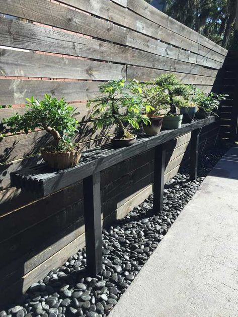 Bonsai Bench, Small Japanese Garden, Bonsai Tree Types, Japanese Garden Landscape, Bonsai Tree Care, Zen Garden Design, Plant Stands Outdoor, Bonsai Art, Indoor Flowers