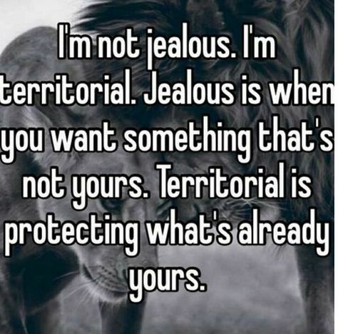 Jealousy Quotes, Memes In Real Life, Funny Relationship Memes, Friendship Humor, Quotes Of The Day, Top Quotes, Boyfriend Quotes, Relationship Memes, Couple Quotes