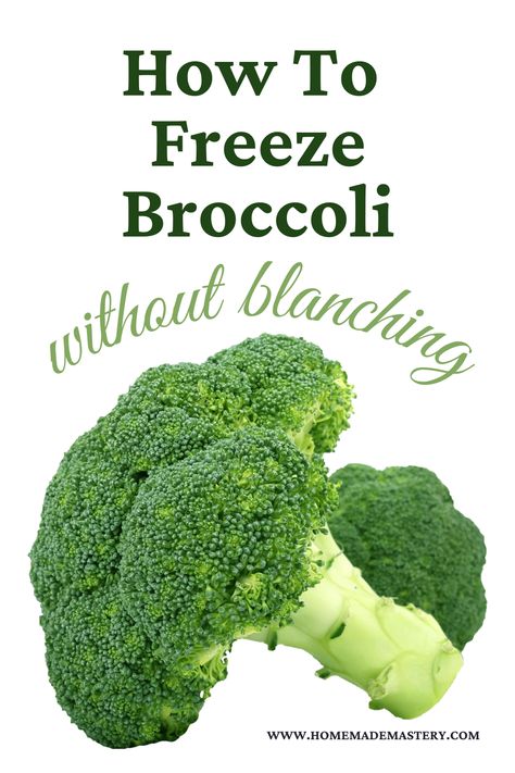 Learn how to freeze broccoli without blanching and how to use frozen broccoli in cooking to make smoothies, soups, stews or curries. Freezing broccoli florets is a great way to make its amazing nutritional benefits long-lasting. Freezing Broccoli, How To Freeze Broccoli, Freeze Broccoli, Blanching Vegetables, Freezing Food Guide, Preserving Vegetables, Freezing Vegetables, Make Smoothies, Vintage Boxer