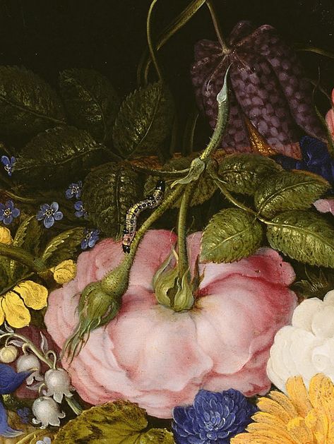 Ambrosius Bosschaert the Elder,1614 Ambrosius Bosschaert, Fairy Fruit, Oil Painting Old, Enchanted Flowers, Flower Puzzles, Flowers And Fruit, Painting Old, Poetry Art, Floral Oil Paintings