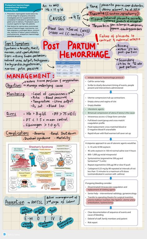 Obgyn Notes, Post Partum Hemorrhage, Charting For Nurses, Nursing Management, Nursing School Studying Cheat Sheets, Ipad Pro Notes, Medical Terminology Study, Med Notes, Medical Assistant Student