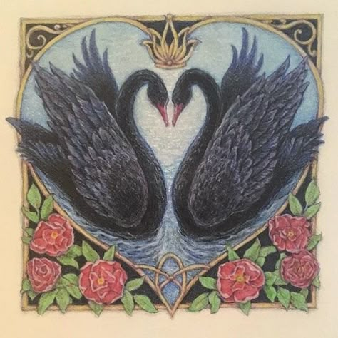 Black Swan Aesthetic, Swan Aesthetic, Black Swans, Mia 3, Ethereal Art, Black Swan, Swans, Colored Pencil, Pretty Art