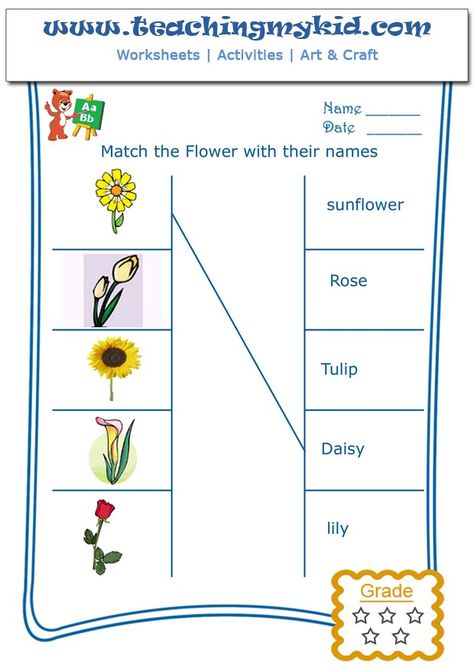 Match the flowers with their name – Worksheet 1 Flowers Worksheet, Plants Worksheets, Free Worksheets For Kids, Preschool Names, Fun Worksheets For Kids, Free Preschool Worksheets, Kindergarten Worksheets Printable, Fun Worksheets, Rhyming Words