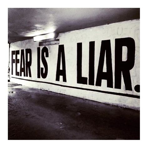 regram @adzreed I absolutely love this. Fear is a liar. Repost @foundrmagazine #motto #quote #fear #belief #selfbelief #confidence #success #ambition #motivation #motivationalquote by pixel_saint Fear Is A Liar, Adam Reed, Motivation Board, Life Lesson Quotes, Some Words, Note To Self, Good Advice, New Age, Gods Love