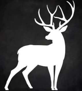 Deer Stencil, Animal Stencils, Buck Deer, Deer Silhouette, Silhouette Template, Christmas Stencils, Silhouette Christmas, Wood Painting Art, Deer Art