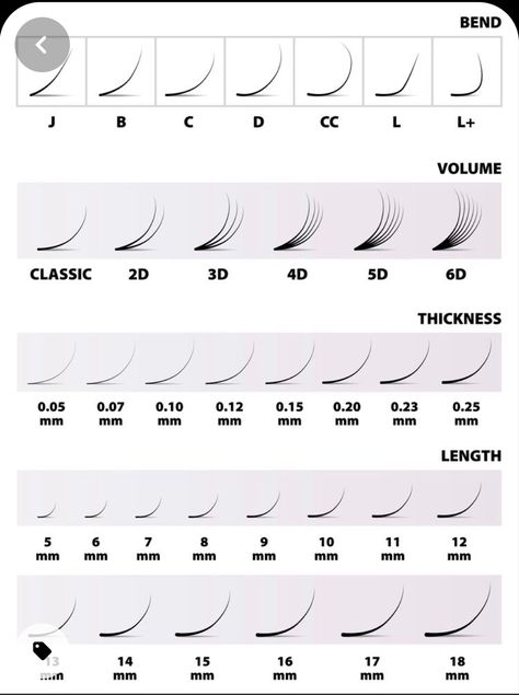 Lash Extension Curl Chart, Types Of Eyelash Extensions, Table Vector, Eyelash Extensions Classic, Eyelash Extension Course, Eyelash Studio, Eyelash Extension Training, Lashes Tutorial, Lash Quotes