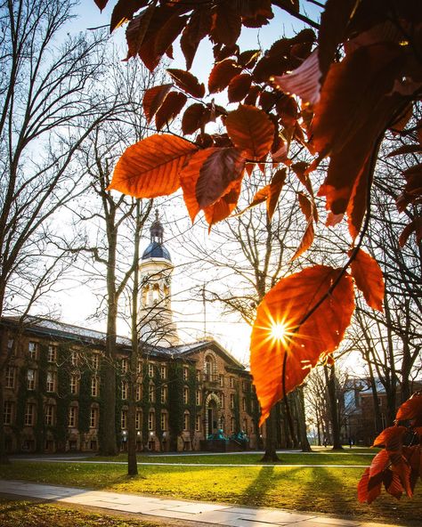 Princeton University in fall, with orange leaves framing the historic campus Jersey Day, Princeton New Jersey, Princeton Nj, Princeton University, Fall Activities, Autumn Beauty, Autumn Activities, Historical Sites, Dining Experience