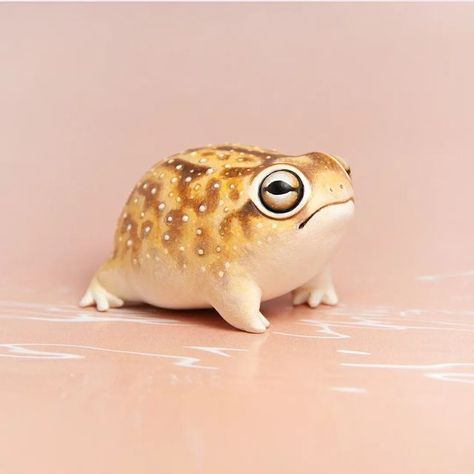 Miniature Animals Figurines, Cute Animal Figurines, Cute Frog Sculpture, Tiny Clay Frog, Frog Clay Sculpture, Pinch Pot Animals, Angry Frog, Frog Clay, Tiny Sculptures