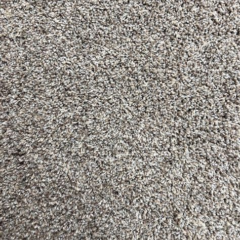 STAINMASTER PetProtect Comet Taupe Orbit Gray 42-oz sq yard Nylon Textured Indoor Carpet Lowes.com 2024 Carpet Trends For Home, Bedroom Carpet Ideas Wall To Wall, Carpet Swatches, Basement Carpet Ideas, Speckled Carpet, Greige Carpet, Best Carpet For Bedrooms, Grey Walls And Carpet, Modern Carpet Bedroom