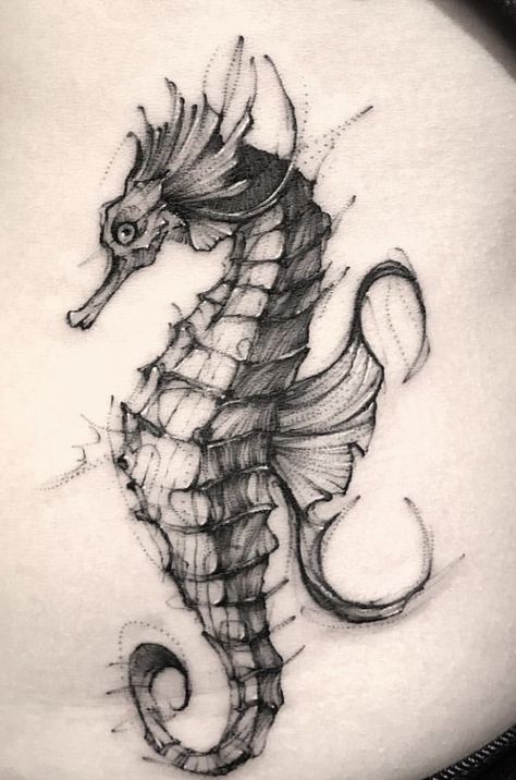 Drawing Of Seahorse, Water Horse Drawing, How To Draw A Seahorse, Sea Animals Sketch, Seahorse Sketch, Sea Horse Drawing, Sea Drawings, Hsc Art, Mermaid Sleeve Tattoos