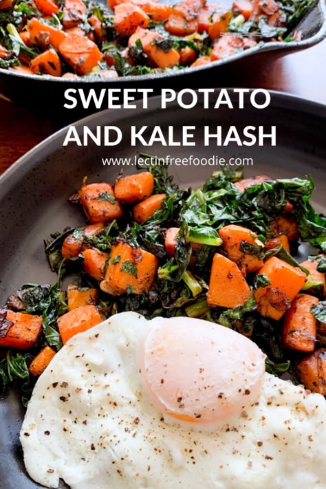 Lectin Free Foods Recipes, Lectin Free Breakfast, Sweet Potato Kale Hash, Lectin Free Foods, Lectin Free Recipes, Plant Paradox Diet, Lectin Free Diet, Dr Gundry, Histamine Diet