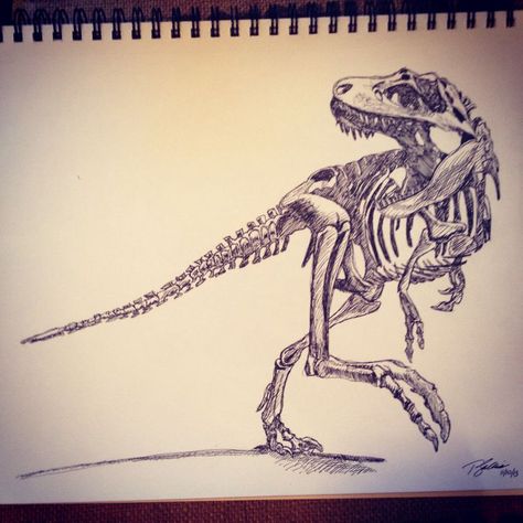 Dinosaur Skeleton Tattoo T Rex Tattoo, Bone Tattoo, Dinosaur Tattoos, Skeleton Drawings, Skeleton Tattoos, Dinosaur Drawing, Theme Tattoo, Dinosaur Skeleton, Paleo Art