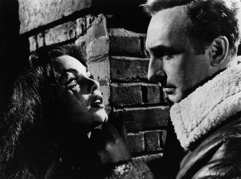 Anton Diffring and Erika Remberg in Circus of Horrors (1960) Donald Pleasence, Spooky Memes, Black Museum, Eyes Without A Face, Gothic Literature, Scary Gif, Circus Performers, Tower Of Terror, French Films