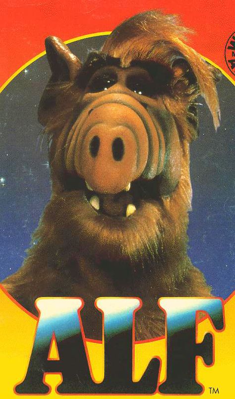 Alf - La télévision des années 80 80 Tv Shows, 1980s Childhood, Tv Vintage, 80s Tv, 90s Memories, Kids Memories, Childhood Memories 70s, Animal Education, 90s Cartoons