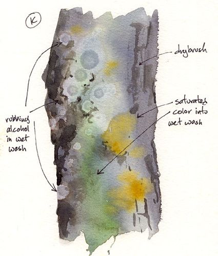 How To Paint Moss, Tree Lichen, Art Tutorials Watercolor, Watercolor Mixing, Watercolor Paintings For Beginners, Watercolor Lessons, Diy Watercolor Painting, Watercolor Projects, Watercolor Sketchbook