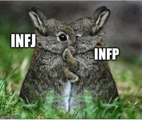 hey it's me and my bestie! Infj Crush, Infp X Infj, Infp 5w4, Accurate Personality Test, Infp Enneagram, Infp Relationships, Infj Relationships, Infj Characters, Infj Humor