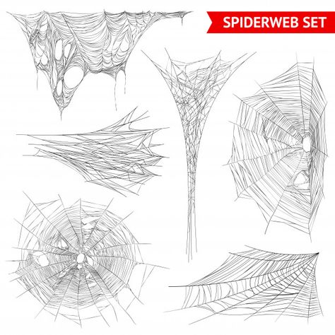 Realistic spider web cobweb set Carved Rocks, Drawing Effects, Web Drawing, Organic Drawing, Spider Web Drawing, Types Of Spiders, Spider Drawing, Spider Web Tattoo, Spiderman Web