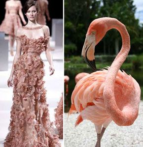 Fashion inspired by animals and insects Animal Inspired Fashion, Capitol Couture, Flamingo Fashion, Fashion Collection Inspiration, Bird Fashion, Nature Inspired Fashion, 20th Century Fashion, Illustration Fashion Design, Fashion Inspiration Design