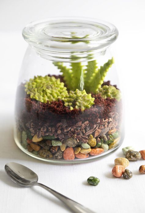 Chocolate Terrarium, Edible Terrarium, Chocolate Rocks, Owl Cakes, Diy Edible, Baking Art, Homemade Cupcakes, Fruit Arrangements, Decorating Cakes