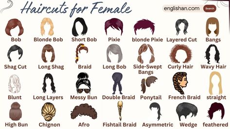 Haircuts for Female with Pictures Names In English • Englishan Hair Cuts Names For Women, Types Of Hairstyles Names, Naming Conventions, Hair Knowledge, Female Haircut, Different Hair Cut, Haircut Names, French Braid Ponytail, Classic Haircut