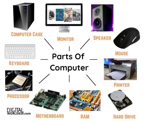 The computer is one of the most versatile and beneficial inventions for mankind. Its enormous capacity to process data makes it a fundamental part of the development of the world. There are some basic parts of computer that make possible to process and complete the task at extraordinary speed. Parts Of Computer, Computer Lab Posters, Computer Lab Classroom, Computer Notes, What Is Computer, Computer Projects, Kindergarten Reading Activities, Learn Computer Coding, Computer Class