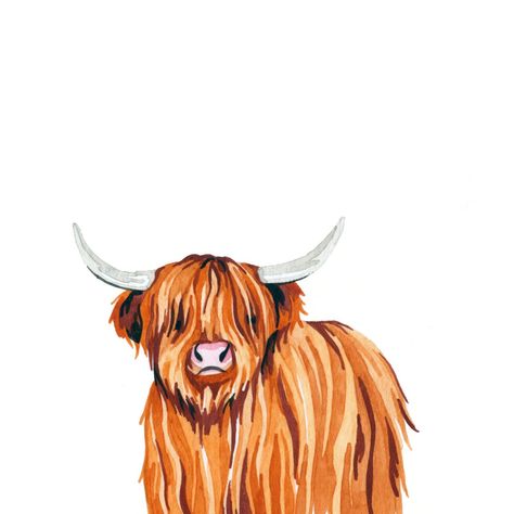 Sophie Brabbins - Highland Cow Cow Drawing Easy, Highland Cow Tattoo, Cow Sketch, Highland Cow Painting, Cow Wallpaper, Cow Illustration, Highland Cow Art, Cow Drawing, Fluffy Cows