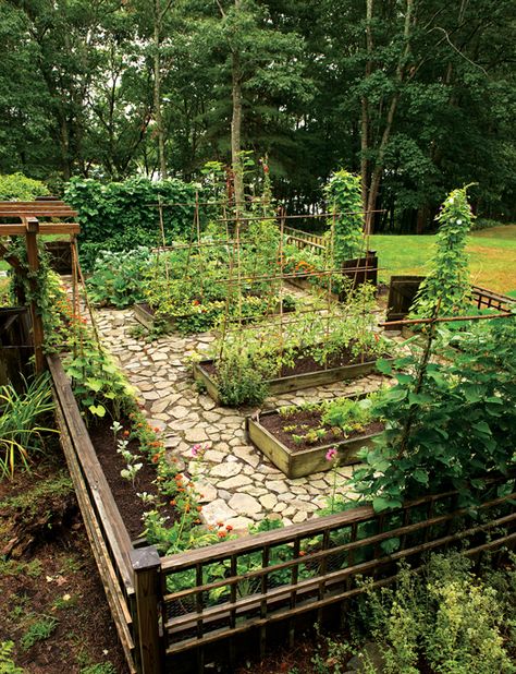 Depósito Santa Mariah: Jantar No Jardim! Vegetable Beds, Garden Farm, Potager Garden, Have Inspiration, The Secret Garden, Vegetable Garden Design, Garden Bed, Pretty Plants, Garden Layout