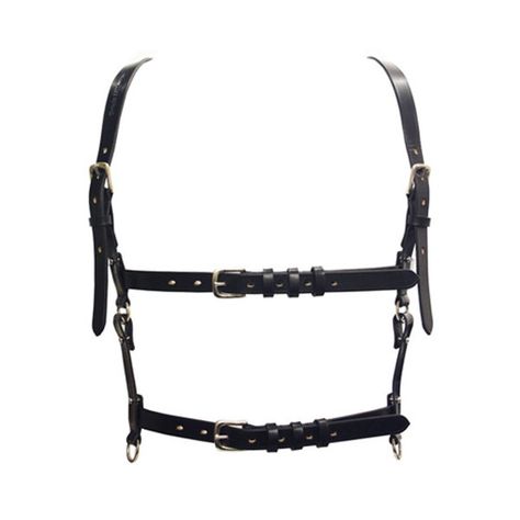 Mise en cage Homepage > Boudoir Accessories > Harnesses ($235) ❤ liked on Polyvore Harness Jewelry, Alien Clothes, Leather Lingerie, Leather Harness, Ibis Paint, Edgy Outfits, Stage Outfits, Dremel, Aesthetic Vintage