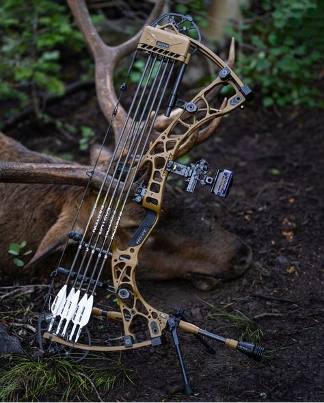 Pse Archery, Hunting Bows, Archery Gear, Compound Bows, Bow Hunter, Archery Bows, Archery Hunting, Compound Bow, Bow Hunting