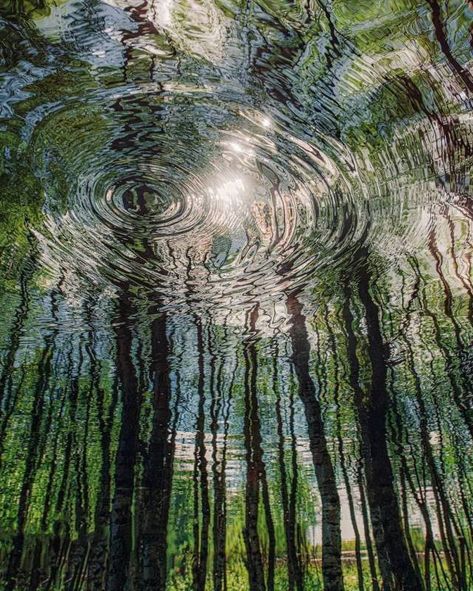 ghostowlattic Flooded Forest, Bad Luck, Pansies, Finland, Eden, Forest