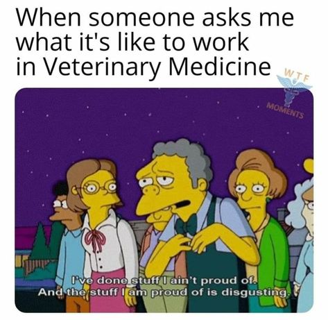 Vet School Humor, Veterinary Memes, Veterinary Medicine Humor, Vet Tech Quotes, Medicine Humor, Vet School Motivation, Veterinary Humor, Vet Tech Humor, Vet Tech School