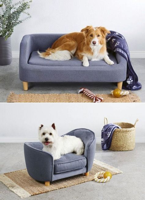 Aldi has launched these pet sofa beds earlier, and they were a huge success. Over again, these pet sofa beds are becoming available to customers. Cama Pet, Critter Sitters, Pet Couches, Cute Dog Beds, Pet Sofa Bed, Elevated Dog Bed, Pet Frogs, Dog Sofa Bed, Pet Sofa