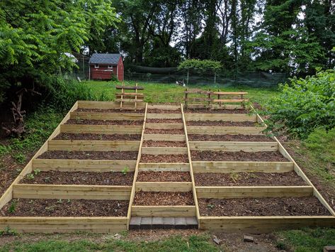 Raised Garden Bed On Hillside, Hill Vegetable Garden, Garden Boxes On A Hill, Raised Bed Garden On Slope, Terracing A Sloping Garden, Terraced Vegetable Garden Hillside, Slope Vegetable Garden, Sloped Backyard Steps, Terraced Hillside Garden