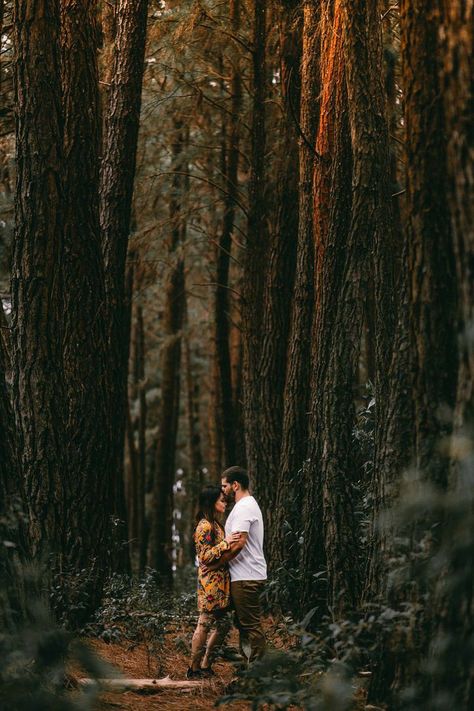 Tattoos Photography, Photography Tattoos, Forest Engagement Photos, Aesthetics Photography, Photography Tattoo, Wedding Fotos, Fall Engagement Pictures, Image Couple, Forest Engagement