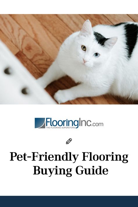 Best Flooring For Dogs, Pet Friendly Flooring, Best Laminate, Jackson Galaxy, Carpet Ideas, Flooring Inspiration, Flooring Trends, Pet Stains, Best Flooring