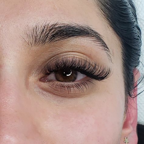 Subtle Hybrid Lashes, Open Eye Cat Eye Lash Extensions, Natural Volume Set Lash Extensions, Eyelash Extensions Cat Eye Hybrid, Hybrid Lash Extensions Styles Wispy Cat Eye, Cat Eye Russian Lashes, Whispie Eyelash Extension, Hybrid Wispy Eyelash Extensions Cat Eye, Lash Extensions Hybrid Cat Eye