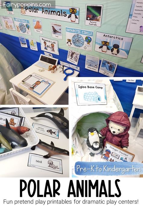 This polar animals dramatic play center is a fun way for kids to learn the Arctic, Arctic animals, Antarctica and Antarctic animals. #arcticanimals #antarcticanimals #arctic #antarctica #polardramaticplay #winterdramaticplay #igloodramaticplay #penguinactivities #pretendplay #dramaticplaycenter #pretendplaycenter #preschool #prek #kindergarten #dramaticplaycentre #dramaticplay Arctic Habitat Preschool, Winter Discovery Center Preschool, Arctic Animal Dramatic Play, Arctic Dramatic Play, January Dramatic Play Preschool, Winter Dramatic Play Preschool, Polar Habitat, Winter Animals Preschool, Arctic Animals Activities