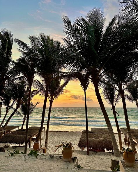 Postcard from Tulum 🌴🥥 Tulum Mexico Aesthetic, Tulum Aesthetic, Tulum Beach, Vision Board Pictures, Honeymoon Travel, Tulum Mexico, Arbonne, 2025 Vision, Future Life