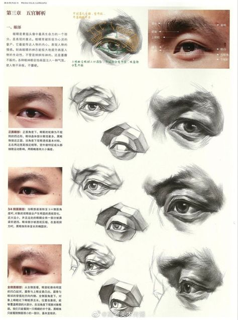 Eye Anatomy Drawing, Portrait Drawing Tips, Eye Study, Eye Anatomy, Face Anatomy, Man Anatomy, Anatomy Sculpture, 얼굴 드로잉, 얼굴 그리기