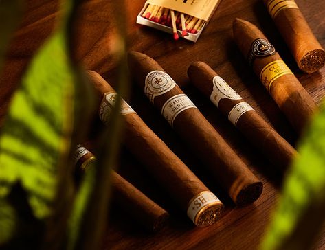 Cigars For Beginners, Best Cigars, Mild Cigars, Hype Men, Man Cave Home Bar, Good Cigars, Cigars And Whiskey, Frat Boy, Good Ole