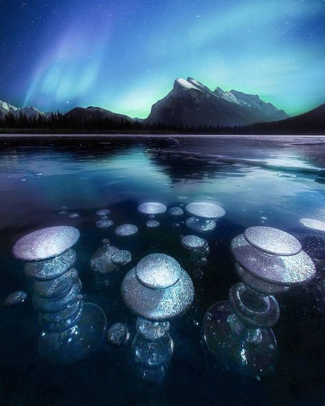 Methane Gas, Vermillion Lakes, The Night, Photo Awards, Earth From Space, Banff National Park, Canon Photography, Natural Phenomena, Album Photo