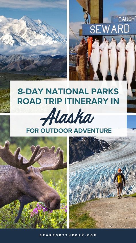 National Parks Road Trip, Alaska Road Trip, Alaska National Parks, North To Alaska, Alaska Adventures, Visit Alaska, Board Pictures, Alaska Vacation, Kenai Fjords