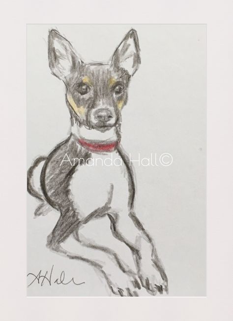 Bogart Rat terrier. Rat Terrier Art, Dog Line Art Tattoo, Dog Sketches, Line Art Tattoo, Rat Dog, Rat Terrier Dogs, Dog Line Art, Rat Terrier, Dog Line