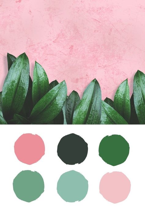 Summer Blush, Stylish Tips, Green Color Palette, Color Schemes Colour Palettes, Palette Inspiration, Green Colour Palette, Brand Color Palette, Green Mint, Color Palette Design