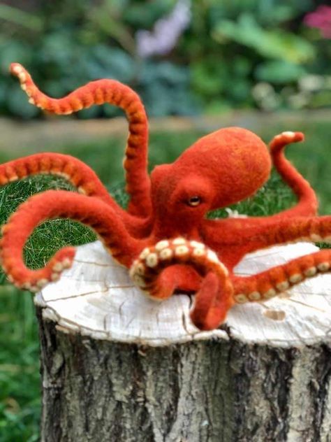 Felted Octopus, Felted Art, Felted Animals, Needle Felted Animals, Felt Art, Felt Animals, Stop Motion, Needle Felted, Needle Felting