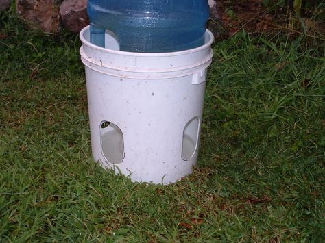 Chicken waterer Diy Duck Waterer, Duck Waterer No Mess, Duck Waterer, Backyard Ducks, Ranch Ideas, Portable Chicken Coop, Chicken Waterer, Backyard Chicken Coop Plans, Chicken Feeders