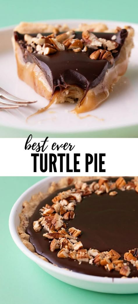 Turtle Dessert, Turtle Pie, Brown Sugar Caramel, Pecan Cookie, Chocolate Turtle, Caramel Pie, Fruit Pies, Pie Pops, Pecan Cookies