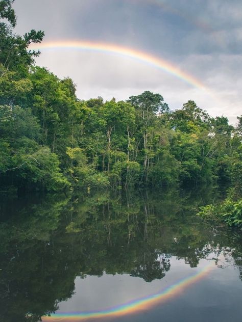 The Amazon Rainforest is the largest tropical rainforest in the world. It is about 5.5 million square kilometres bigger than its African counterpart. It is home to the world’s largest collection of living plants and animals and was named after a river called Amazon, which flows through this forest. 
📸 IG: amazonia.expeditions, P: @marializeth2 Amazon Forest Aesthetic, Amazon Rainforest Aesthetic, Rainforest Aesthetic, Jungle Video, Amazon Rainforest Travel, African Rainforest, Brazil Amazon Rainforest, Portuguese Brazil, Amazon Rainforest Waterfalls