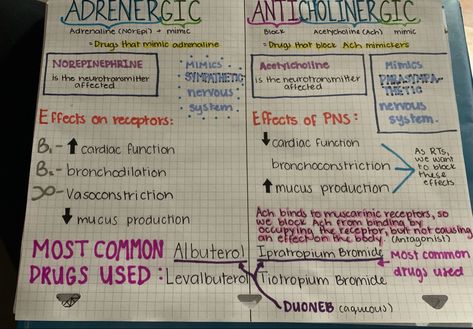 Hand written notes. Focuses primarily on respiratory therapy pharmacology and the difference between adrenergics and anticholinergics. Respiratory Therapist Medications, Pharmacology Nursing Respiratory, Pharmacology Notes Mbbs, Pharmacology Respiratory Meds, Respiratory Pharmacology Cheat Sheets, Respiratory Therapist Notes, Pharmacist Knowledge, Pharmacology Nursing Study Notes, Pharmacology Nursing Flashcards