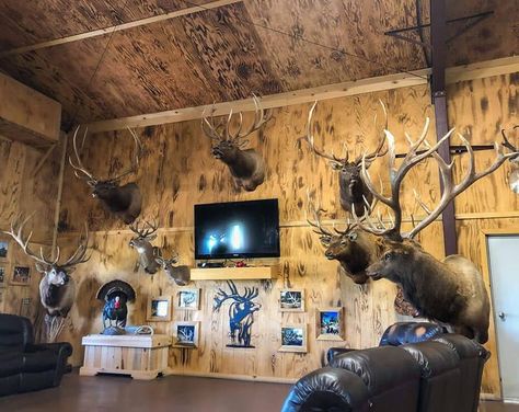 Garage Trophy Room, Trophy Hunting Room, Trophy Room Ideas, Hunting Rooms, Elk Pictures, Rustic Man Cave, Cabin Room, Big Deer, Future Man